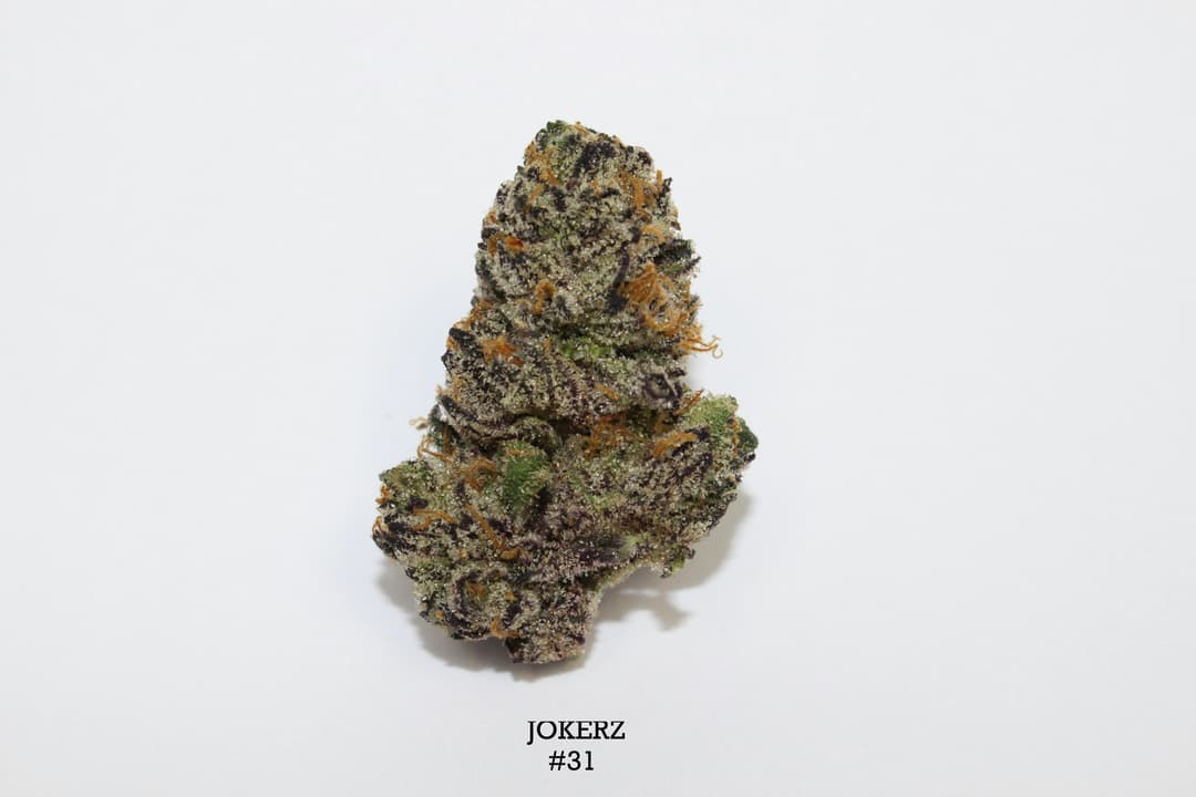 Jokerz #31 • Flower • 3.5g - Roemer Farms | Treehouse Cannabis
