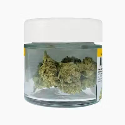 G13 Genius HV • 3.5g - High Falls Canna | Treehouse Cannabis