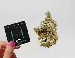 RS-11 "Rainbow Sherbert" | Dime Bag | .7g