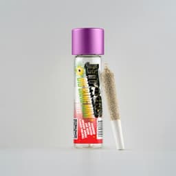 Rainbow Belts | Big Bang Mini | Infused Pre-Roll | .5g