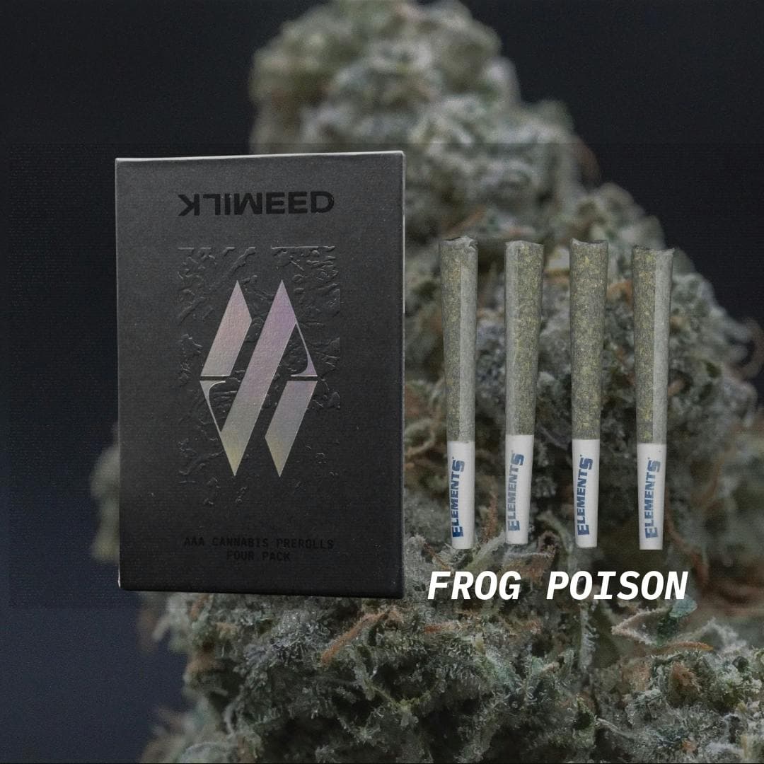 Frog Poison • 4pk Pre-rolls • 3g - Milkweed | Treehouse Cannabis