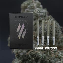 Frog Poison | 4pk Pre-rolls | 3g