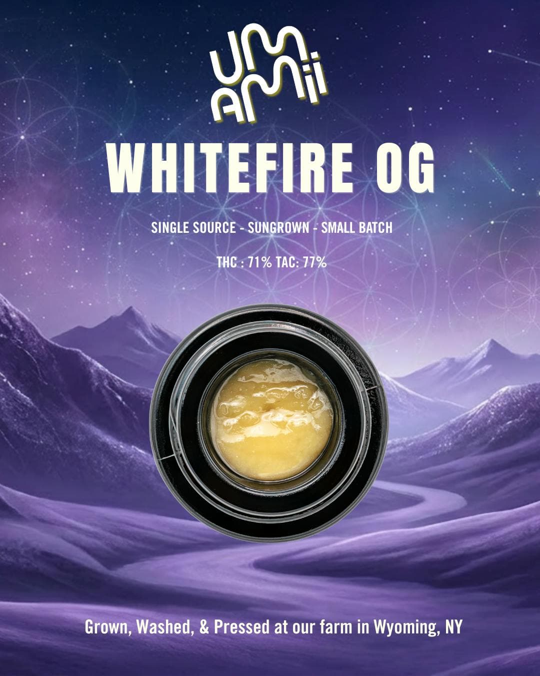 White Fire OG • Private Reserve • Single Source Live Rosin Concentrate • 1g - Umamii | Treehouse Cannabis