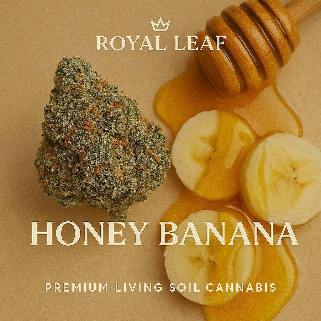 product image for Honey Banana Flower 3.5g
