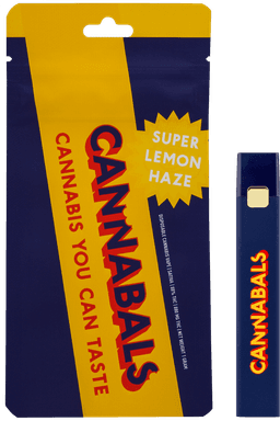 Pineapple Punch • Disposable Vape • 1g