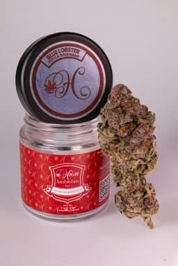 Blue Lobster | Flower | 3.5g