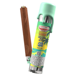 Baja Blaster "Summer Stash" | Packarillo | 1G