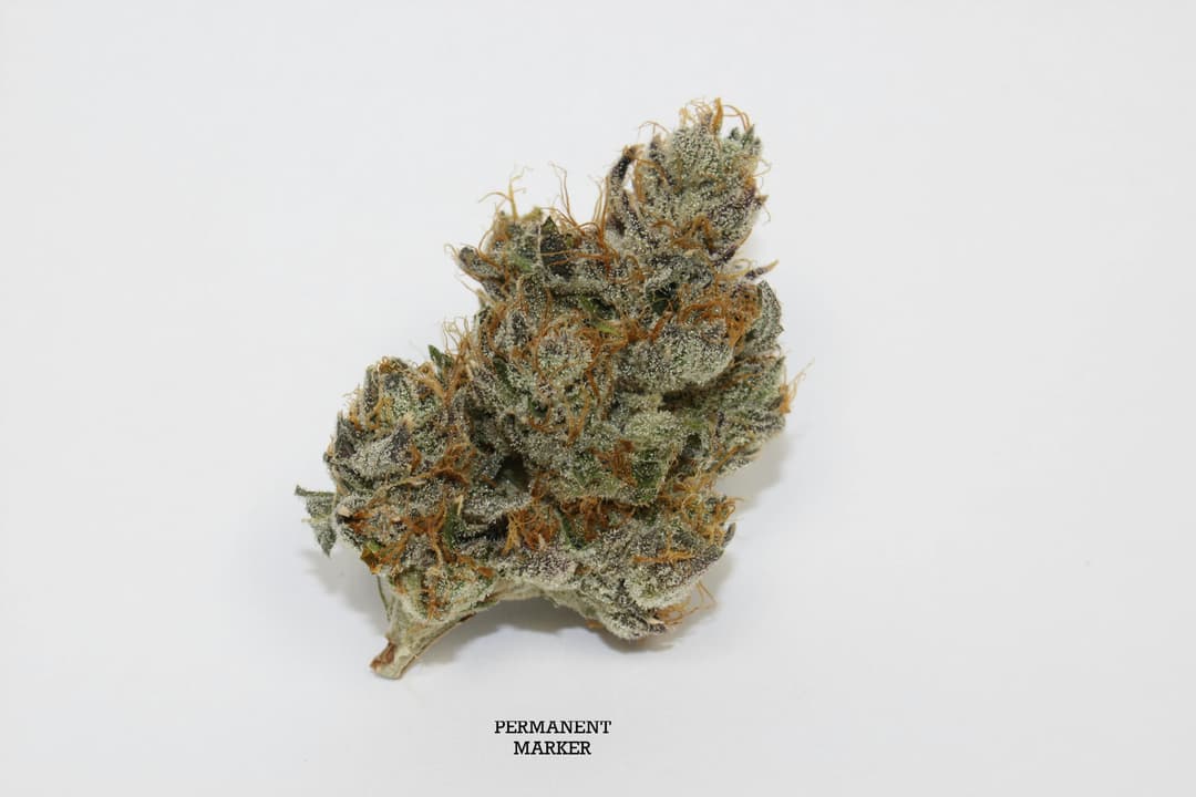 Permanent Marker • Flower • 3.5g - Roemer Farms | Treehouse Cannabis