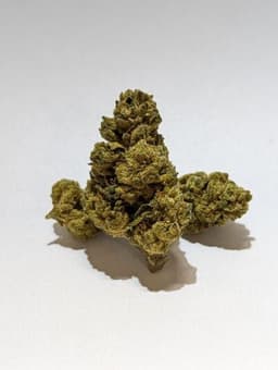 Nimbus Snacks | Flower | 3.5g