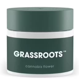 Apple Runtz | Small Buds • 7g