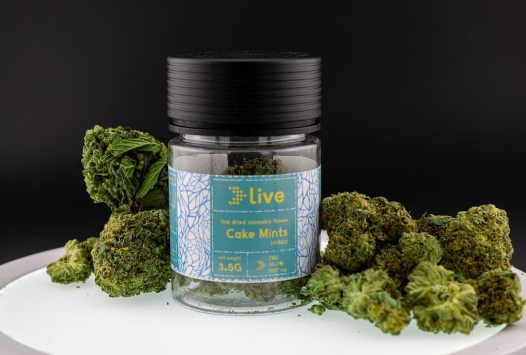 Cake Mints • Flower -  | Treehouse Cannabis