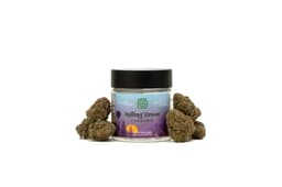 Pink Starburst | Flower | 3.5g
