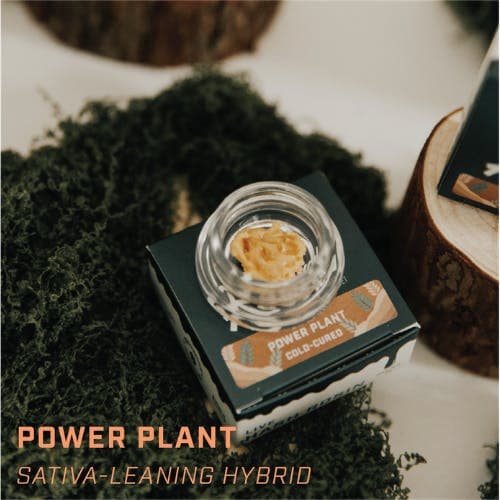 Power Plant • Live Rosin Concentrate • 1g - Revival | Treehouse Cannabis
