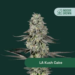 LA Kush Cake | Flower | 3.5g
