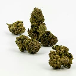 PINEAPPLE EXPRESS  | Flower | 28g