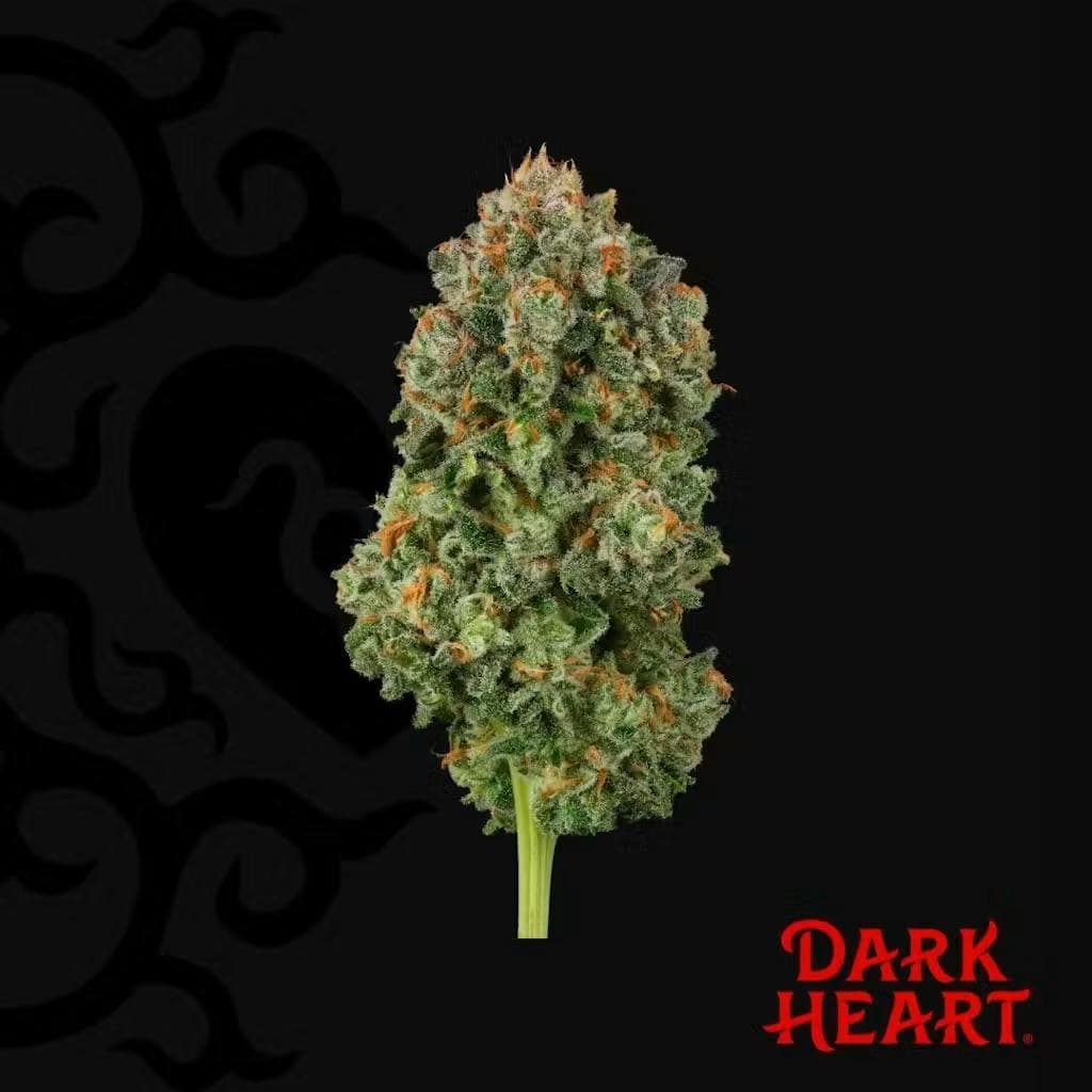 Blackend Blue "Dark Heart Collection" • Flower • 14g - Dark Heart | Treehouse Cannabis