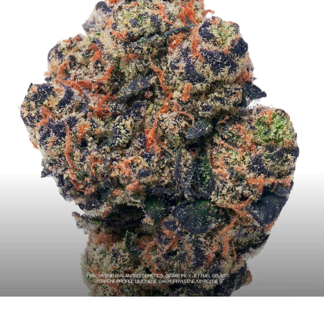 Grape Gas #5 • Flower • 3.5g - Dada Exotics | Treehouse Cannabis