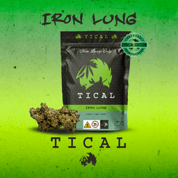 Iron Lung | Flower | 3.5G
