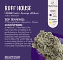 Ruffhouse | Flower | 3.5g