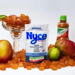 Sugar Free Mango Margarita Live Rosin Gummies | 10 pack | 100mg