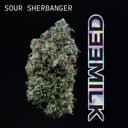 Sour Sherbanger | Flower | 3.5g
