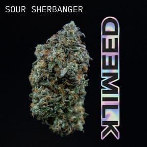 product image for Sour Sherbanger Flower 3.5g