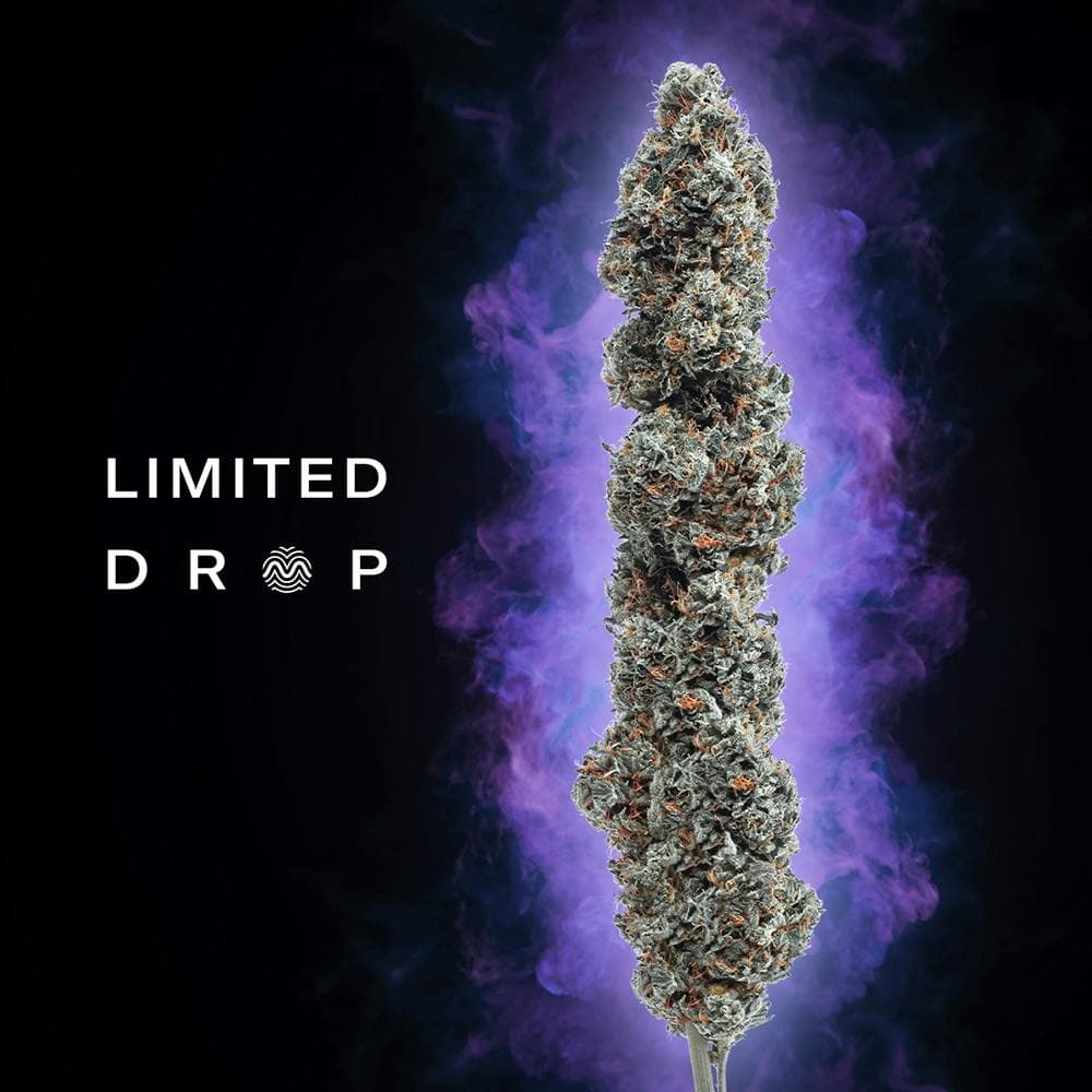 Sour Diesel Queen Cola Flower 14g - RYTHM