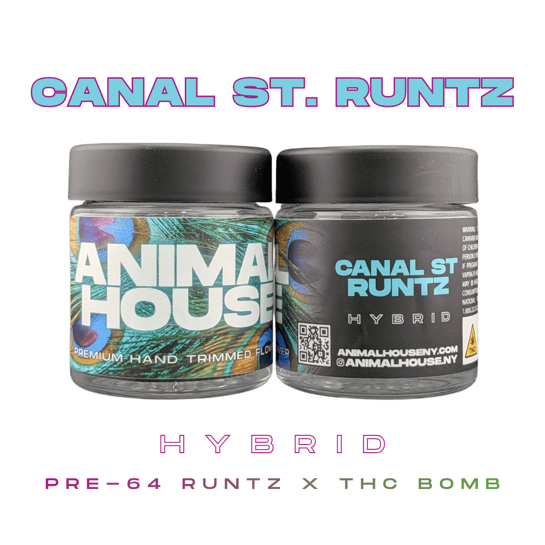product image for Canal St. Runtz Flower 3.5g