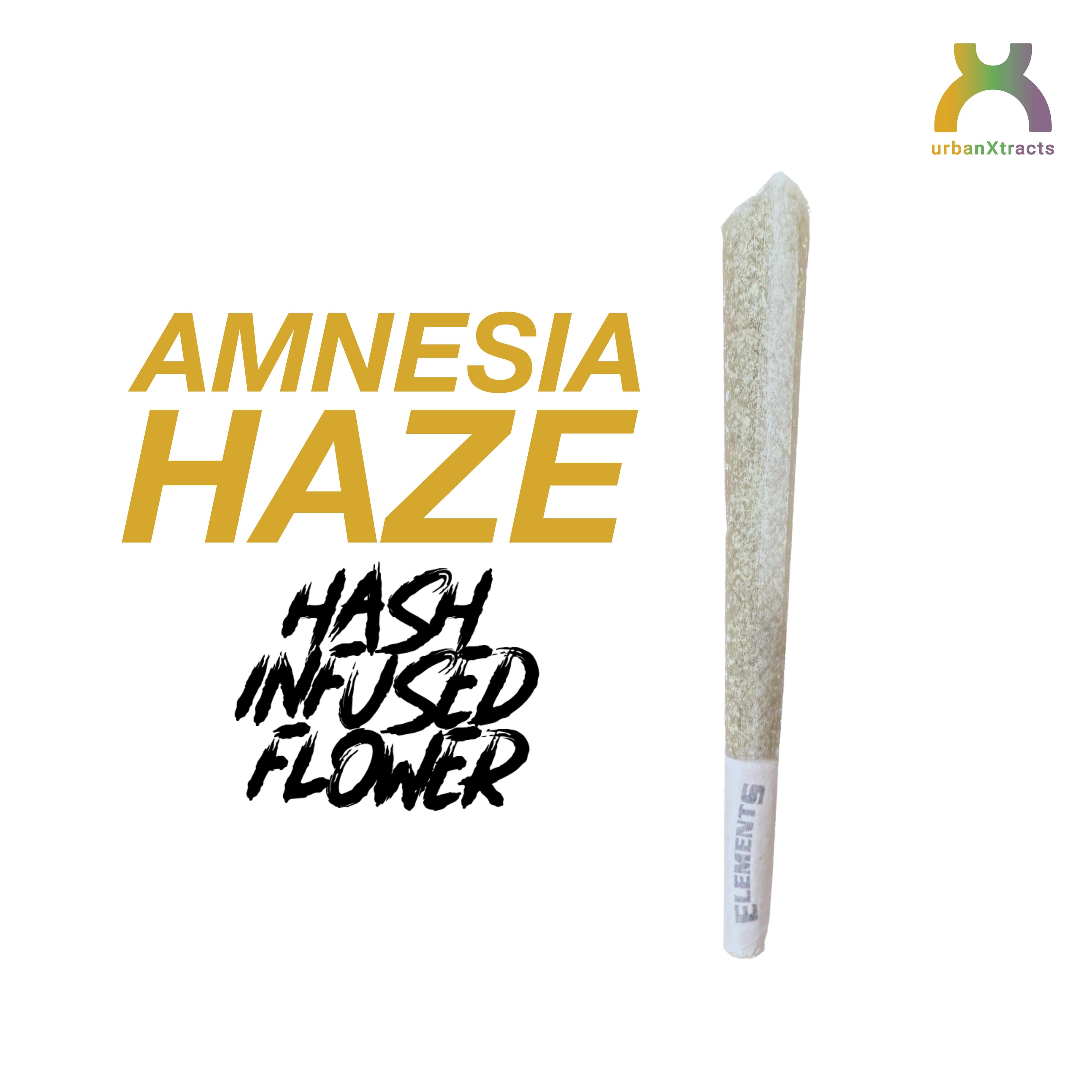 product image for Amnesia Haze Hash Infused Pre-Roll 1g