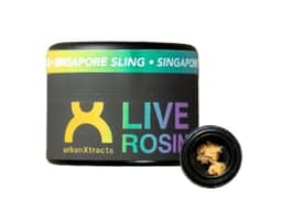 Singapore Sling | UrbanXtracts | Live Rosin Badder | 1g