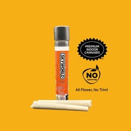 Waiting Game • 2 Pack Pre-Rolls • 1g