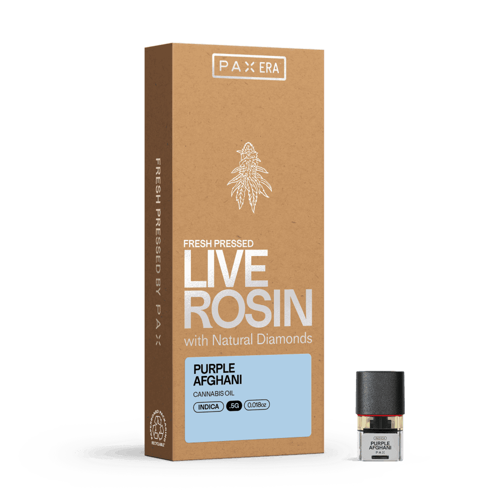 Purple Afghani • Live Rosin Pod • .5g - PAX | Treehouse Cannabis
