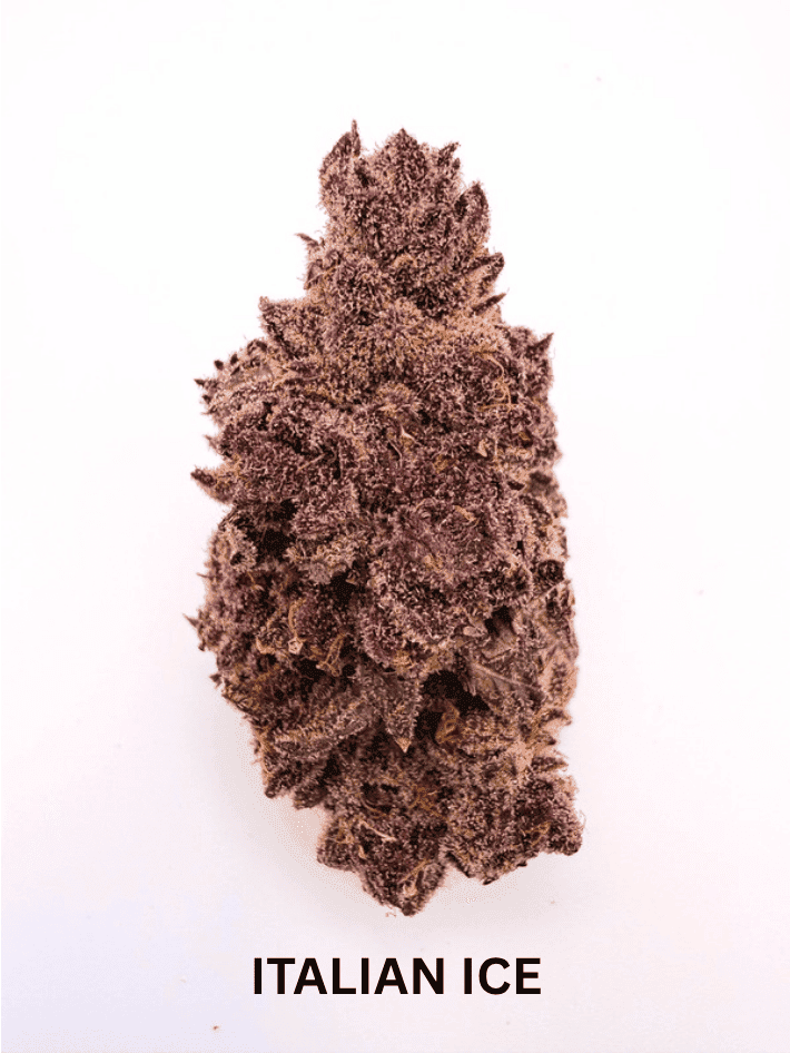 Italian Ice • Flower • 3.5g - Battenkill Buds | Treehouse Cannabis