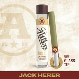 Jack Herer l • Infused Glass Tip Pre-Roll • 1g