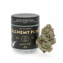 Grape Bubblegum | Alchemy Pure | Flower |  3.5g
