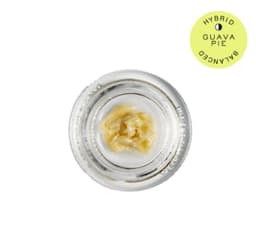 Guava Pie | Live Rosin Badder | 1g