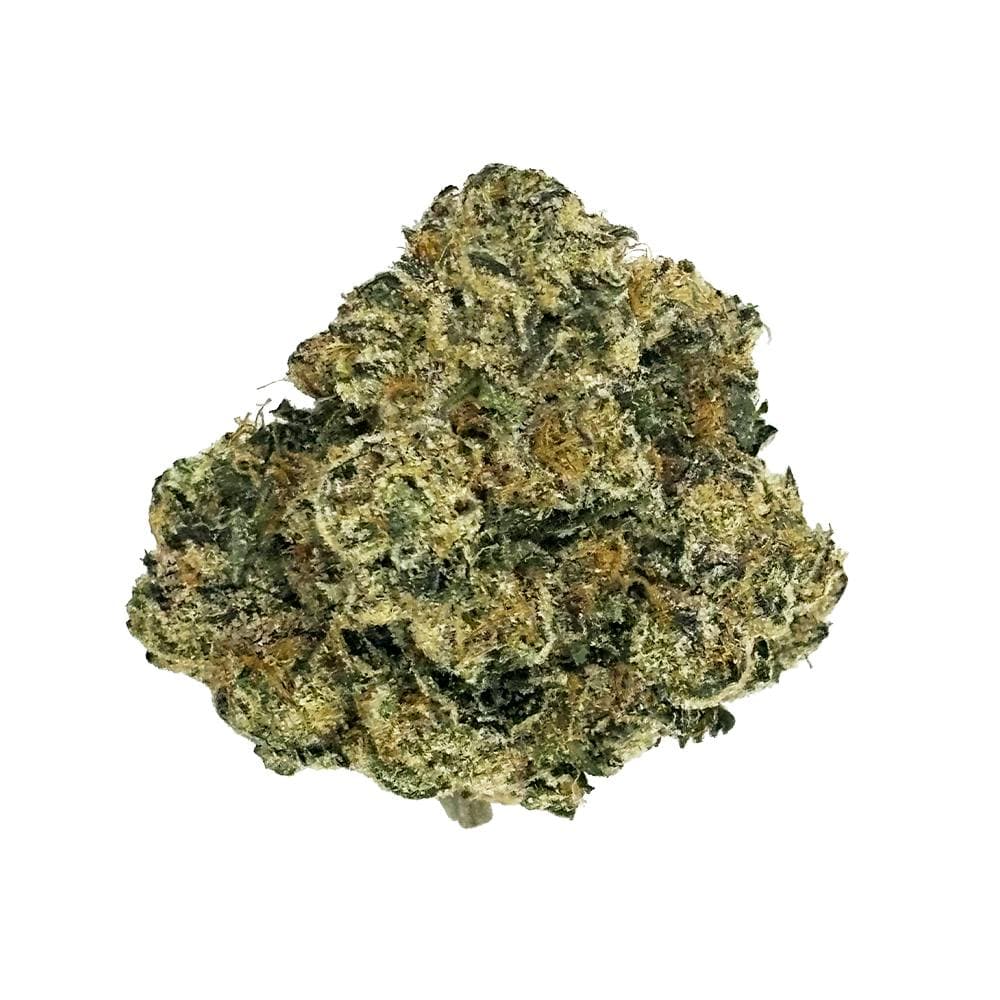 Animal Scout • Rythm • Flower • 3.5g - RYTHM | Treehouse Cannabis