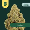 Bonkers | Flower | 14g
