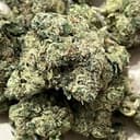 Diesel Runtz | Flower | 3.5G