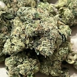 Diesel Runtz | Flower | 3.5G