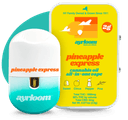 ayrloom | Pineapple Express | AIO | 2g