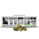 Star Fruit | Small buds | 7g