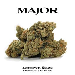 Uptown Haze | Flower | 3.5g