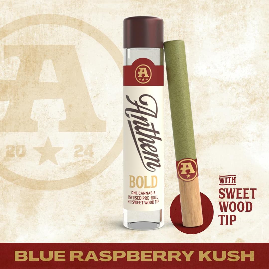 Bold Wood Tip Infused Blue Raspberry Kush Pre-Roll 1g - Anthem | Treehouse Cannabis