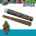 Eucalypto | Pre-roll | 1.1g