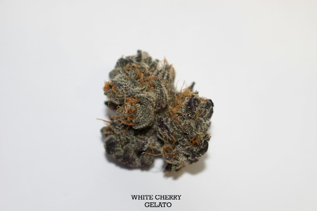 White Cherry Gelato • Flower • 3.5g - Roemer Farms | Treehouse Cannabis
