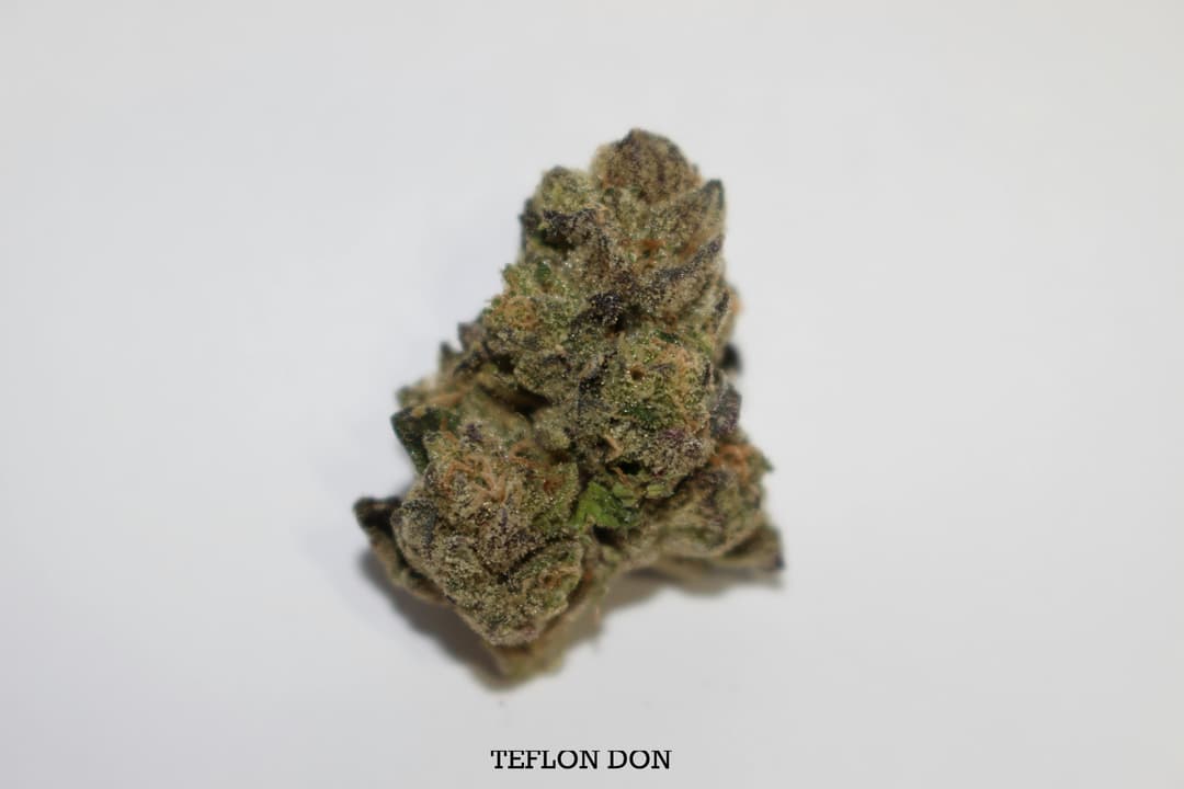 Teflon Don • Flower • 3.5g - Roemer Farms | Treehouse Cannabis