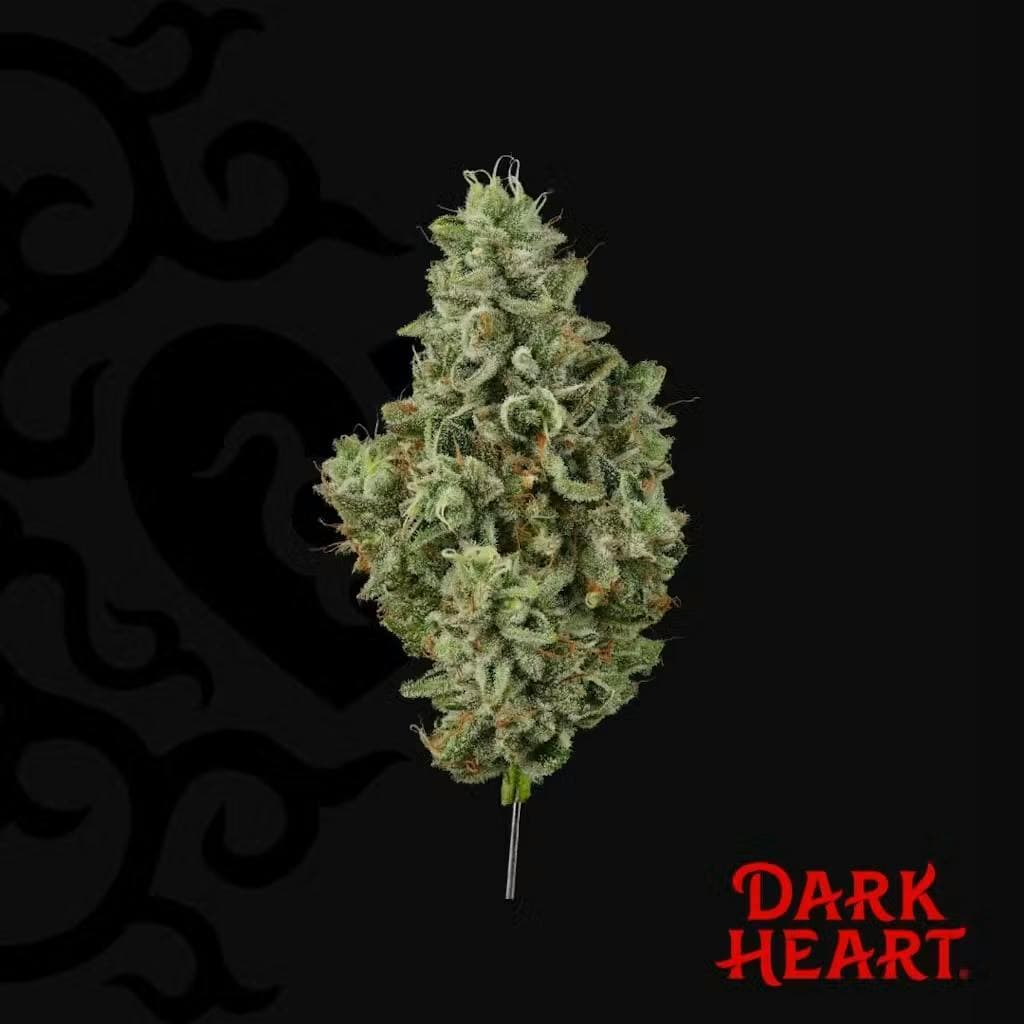 Grandma's House 3.5g - Dark Heart