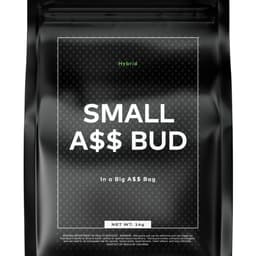 White Runtz | Small Buds | 14g