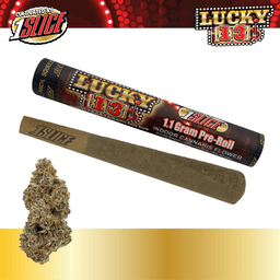 Lucky 13 | Pre-roll | 1.1g